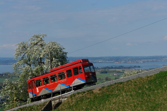 Zahnradbahn mit Panoramablick